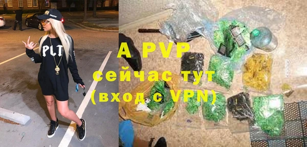 индика Аркадак